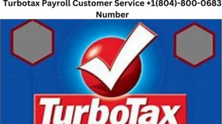 Turbotax Payroll Customer Service +1(804)-800-0683 Number