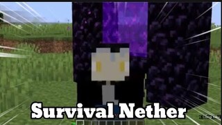 Minecraft nhưng Survival in Nether