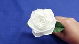 แฟนๆ ชี้ดอกไม้ - ดอกคามิเลียสีขาวใช้กระดาษชำระทำดอกคามีเลียที่สวยงาม สมจริง และสวยงาม