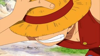 [Hoạt hình] Chết tiệt, tôi đang nói đùa, Zoro, đừng đánh nhau thật!