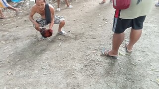 3x Bulik Grabe Talaga mag laro lahat ng mga Laban nya di talaga sya di talaga sya nasusugatan