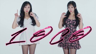 【莉莉子】ITZY Loco 我是在沙漠中寻找绿洲的Kitty