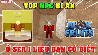 TOP Những NPC Bí Ẩn Tại Sea 1 Nhiều Người Chưa Biết Trong Blox Fruits