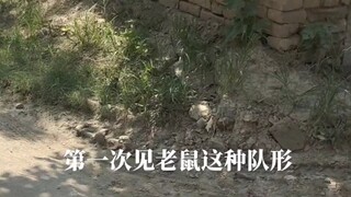 第一次见排队---请求科普