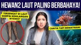 HEWAN-HEWAN PALING MEMATIKAN DI LAUT! 😰