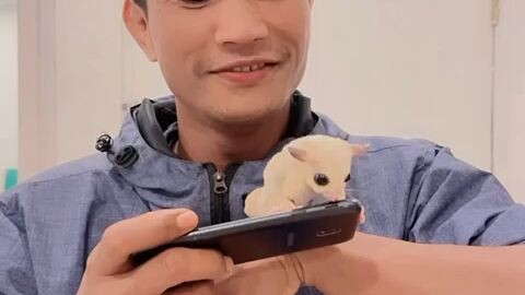 new pet🥰