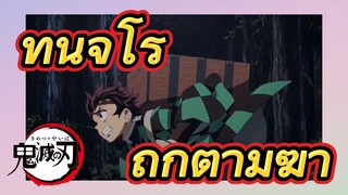 ทันจิโร่ ถูกตามฆ่า