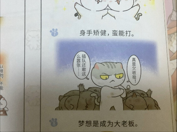 西游喵小介绍（官方添加设定的新特点）