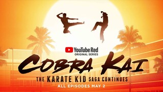 Cobra Kai Season 2 Episode 1 In Hindi Dub