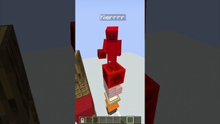 Minecraft Match The Block