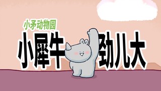 【小矛动物园】小犀牛劲儿真大