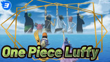 Họ là cộng sự của Luffy |One Piece_3
