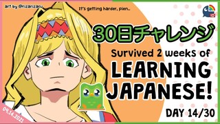 【Duolingo 30 Days Challenge】Day 14 - We Survived 2 Weeks of Learning Japanese【NIJISANJI ID | Layla 】