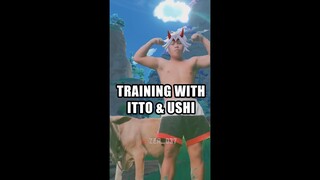 Training with Itto & ushi