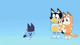 Bluey Season 1 Episode 6 The Weekend