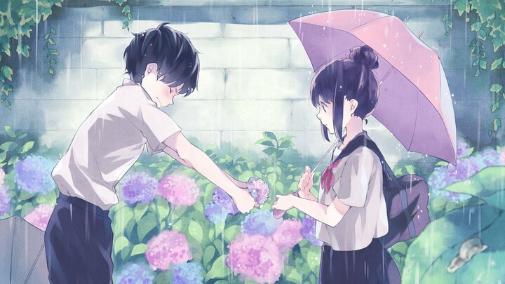 【Ngày nắng】Từng có người yêu bạn thật lâu, nhưng cơn mưa dần thổi bay khoảng cách