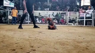 Last figth champion po tayo mga idol