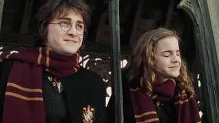 [Bình luận phim]Chi tiết trong phim và trong truyện gốc|<Harry Potter>