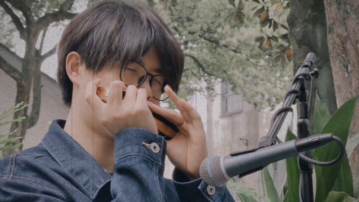 【Harmonica+Guitar】The Sound of Silence