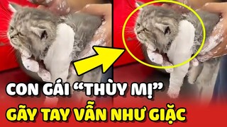 Đẻ con gái cho "THÙY MỊ" phiên bản mèo con GÃY TAY vẫn quậy như giặc 😂 | Yêu Lu