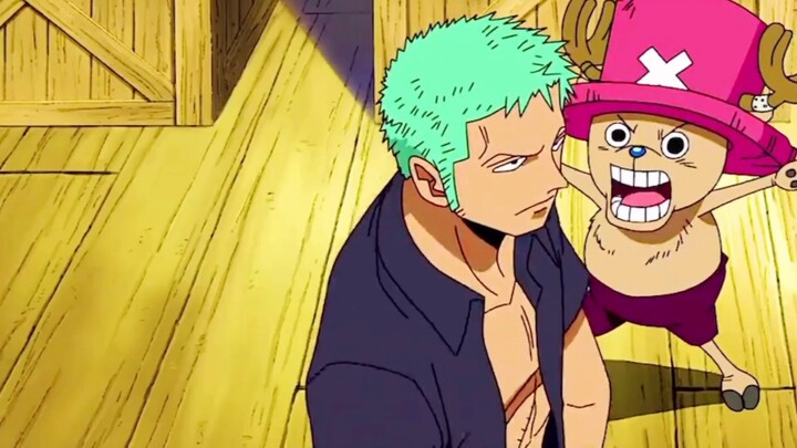 Sauron and Chopper: Chopper, who had just boarded the ship, was very dependent on Sauron, and Zoro a