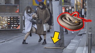 突然へびが出てくるドッキリ / Snake Scare Prank in Japan Part.2