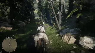 Red Dead Redemption 2 - Riding Across the Beautiful Map