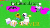 The Most *CRAZY* Server In Pet Simulator 1