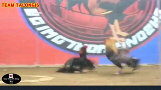 Sabong Part-21 Light Red Vs Dark Red