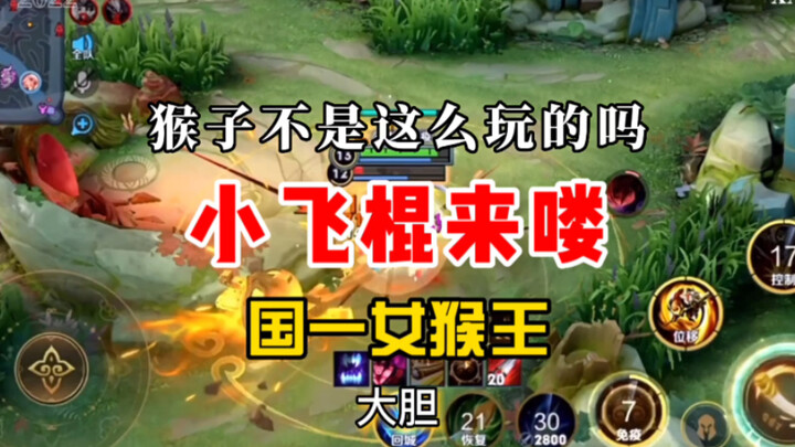 Isn’t that how monkeys play? The little flying stick is here! The country’s first female monkey king