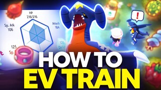How to EV Train in Pokemon Brilliant Diamond and Shining Pearl - EV Training Guide