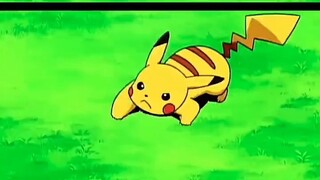 Nếu Pikachu không hành động, có lẽ Ash đã giành chức vô địch từ lâu. Phải chăng Pikachu, người mà Te