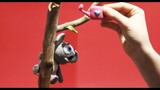 Baby Koala is hot Stop motion cartoon for kids - BabyClay