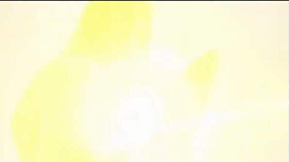 Why was Dyna's Garnet Bomb only used 3 times in the TV series, but it became Dyna's only S-level ski