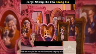 Tóm tắt phim: Corgi - những chú chó hoàng gia #reviewphimhay