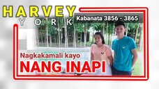 Nagkakamali kayo ng INAPI   Kabanata 3856 - 3865