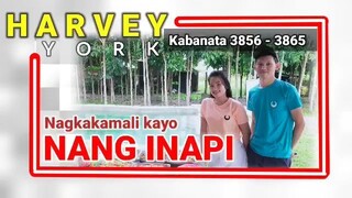 Nagkakamali kayo ng INAPI   Kabanata 3856 - 3865