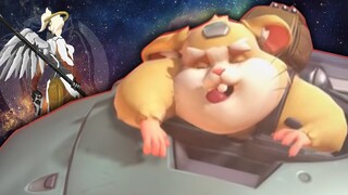 HAMMOND GETS A TREAT (Overwatch)