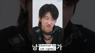 xu minghao (the8) is the activist for cat rights 🐱🐈🐈‍⬛ #GOING_SVT