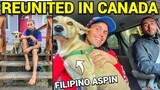 REUNION IN CANADA! Filipino Dog and Beautiful Island Home (BC Ferries)
