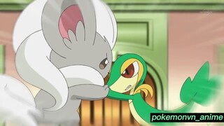 Pokemon AMV | Snivy AMV  KDA  POPSTARS ft Madison Beer GIDLE #amv #pokemon