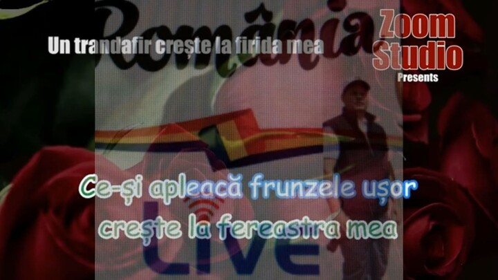 UN TRANDAFIR CRESTE LA FIRIDA MEA