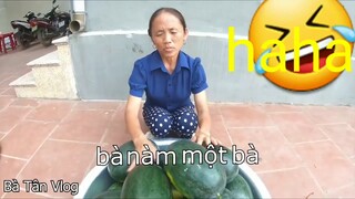 Bà Tân Vlog Ytp| Cục Súc Gaming