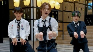 [NCT] 🐻🐯🐬 Tôi đang vấp ngã kangaroo 〰️ 🥊🦘