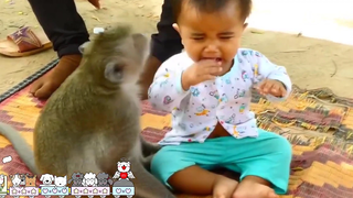 Monkey loves children ลิงรักเด็ก