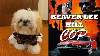 Beaver Lee Hill Cop- Cute Funny Shih Tzu Puppy Video