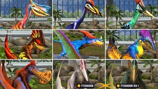 ALL PTEROSAURS RARE, SUPER RARE, LEGENDARY, LIMITED EDITION. Max Level 40 | Jurassic World The Game