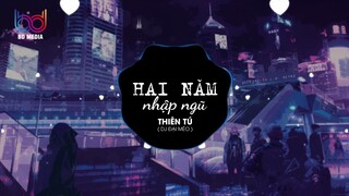 Hai năm hẹn ước cũng bằng thừa, HAI NĂM NHẬP NGŨ REMIX - THIÊN TÚ X ĐẠI MÈO REMIX HOT TIK TOK