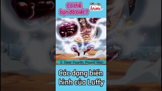 Các dạng biến hình của Luffy #onepiece #luffy #shorts