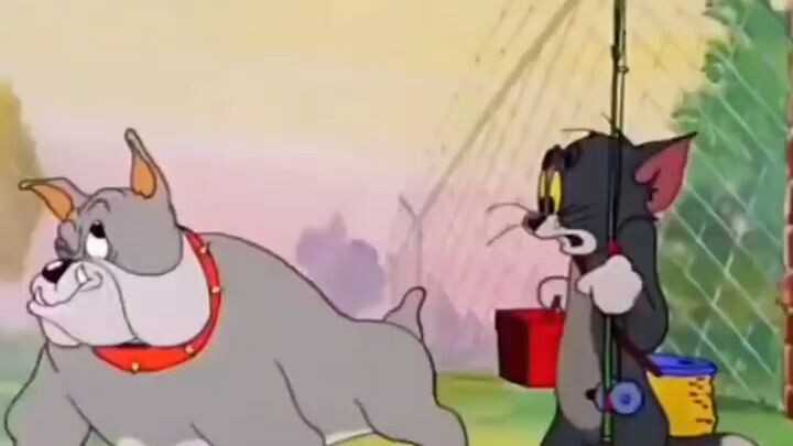 tom and Jerry jika di dunia nyata